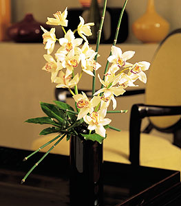  stanbul mraniye iekiler  cam yada mika vazo ierisinde dal orkide