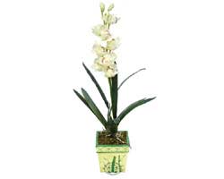 zel Yapay Orkide Beyaz   stanbul mraniye online ieki , iek siparii 