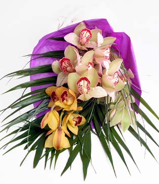  stanbul mraniye cicekciler , cicek siparisi  1 adet dal orkide buket halinde sunulmakta