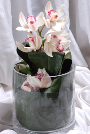  stanbul mraniye internetten iek siparii  Cam yada mika vazo ierisinde tek dal orkide