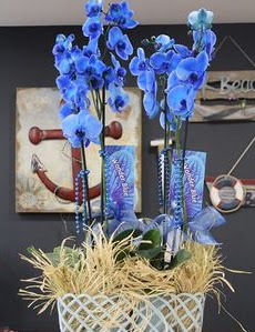 4 dall zel mavi orkide  stanbul mraniye iek siparii vermek 
