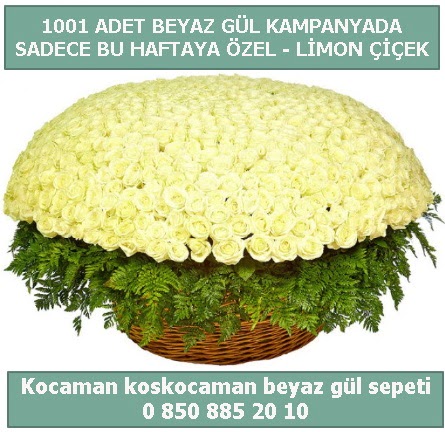 1001 adet beyaz gül sepeti özel kampanyada  İstanbul Ümraniye çiçek gönderme sitemiz güvenlidir 