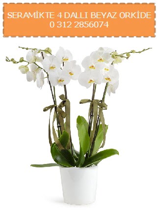 Seramikte 4 dall beyaz orkide  stanbul mraniye iekiler 