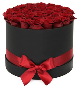Siyah Kutuda 25 adet kırmızı gül  İstanbul Ümraniye çiçek gönderme sitemiz güvenlidir 