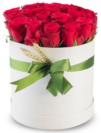 Özel kutuda 25 adet kırmızı gül çiçeği  İstanbul Ümraniye çiçek satışı 