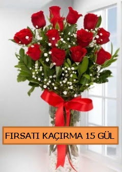  15 İthal kırmızı gül büyük başlı orjinal  İstanbul Ümraniye çiçek siparişi sitesi 