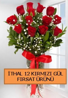 İthal kırmızı 12 adet kaliteli gül  İstanbul Ümraniye ucuz çiçek gönder 