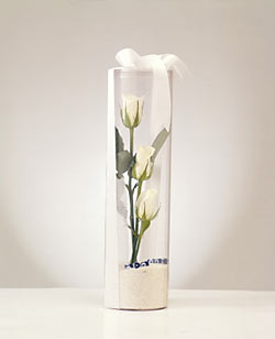  İstanbul Ümraniye çiçek gönderme  Nazar boncuklu 3 beyaz gül