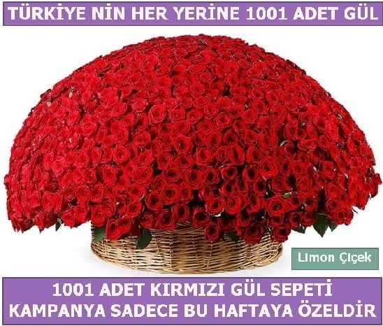 1001 Adet kırmızı gül Bu haftaya özel  İstanbul Ümraniye İnternetten çiçek siparişi 