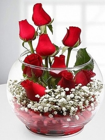 Kırmızı Mutluluk fanusta 9 kırmızı gül  İstanbul Ümraniye çiçek siparişi sitesi 