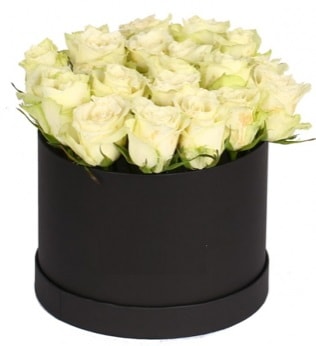 19 adet beyaz gülden görsel kutu çiçeği  İstanbul Ümraniye çiçek siparişi sitesi 