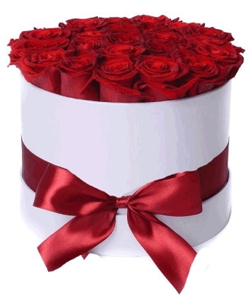 29 adet kırmızı gülden kutu çiçeği  İstanbul Ümraniye güvenli kaliteli hızlı çiçek 